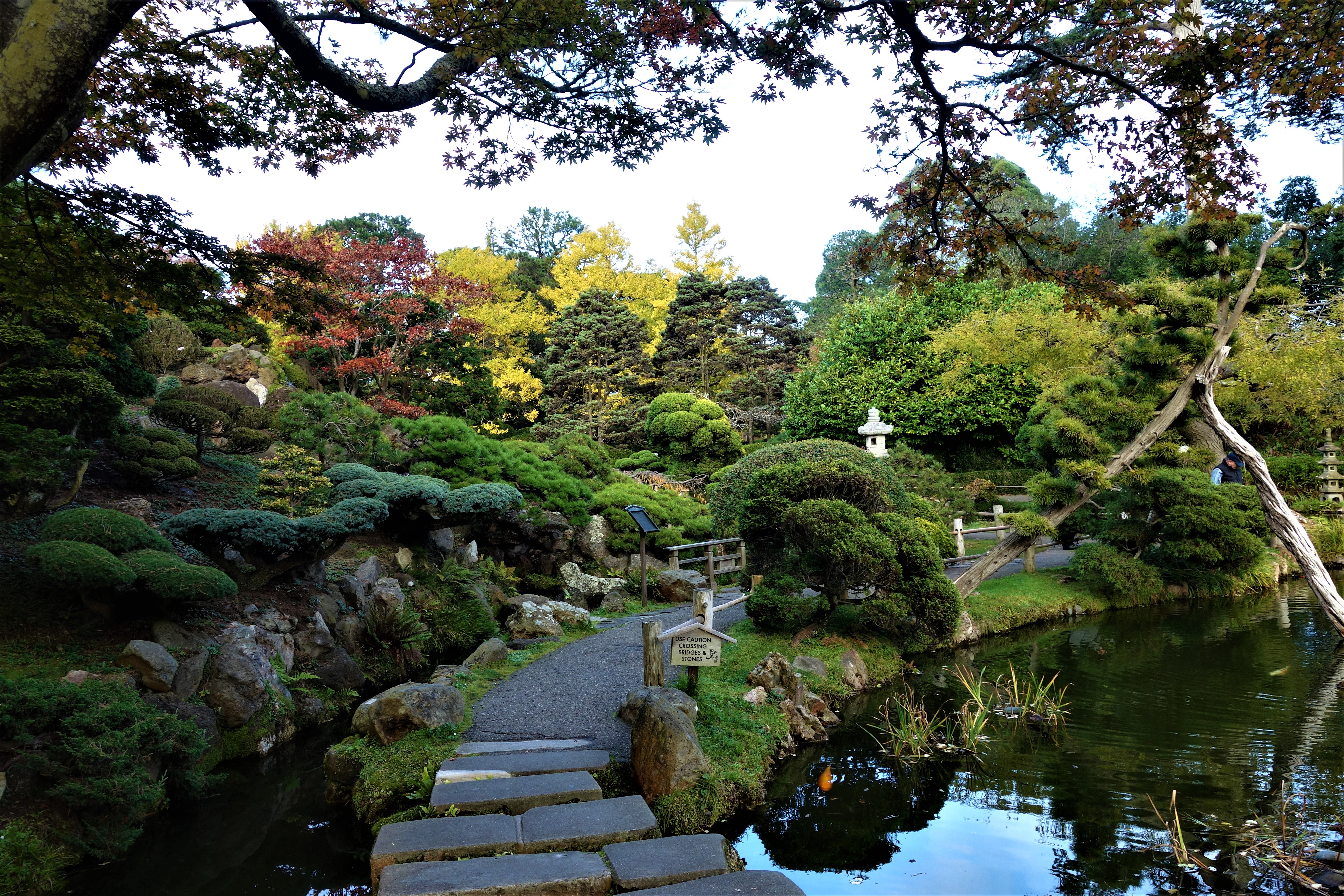 Japanese Garden, San Francisco
