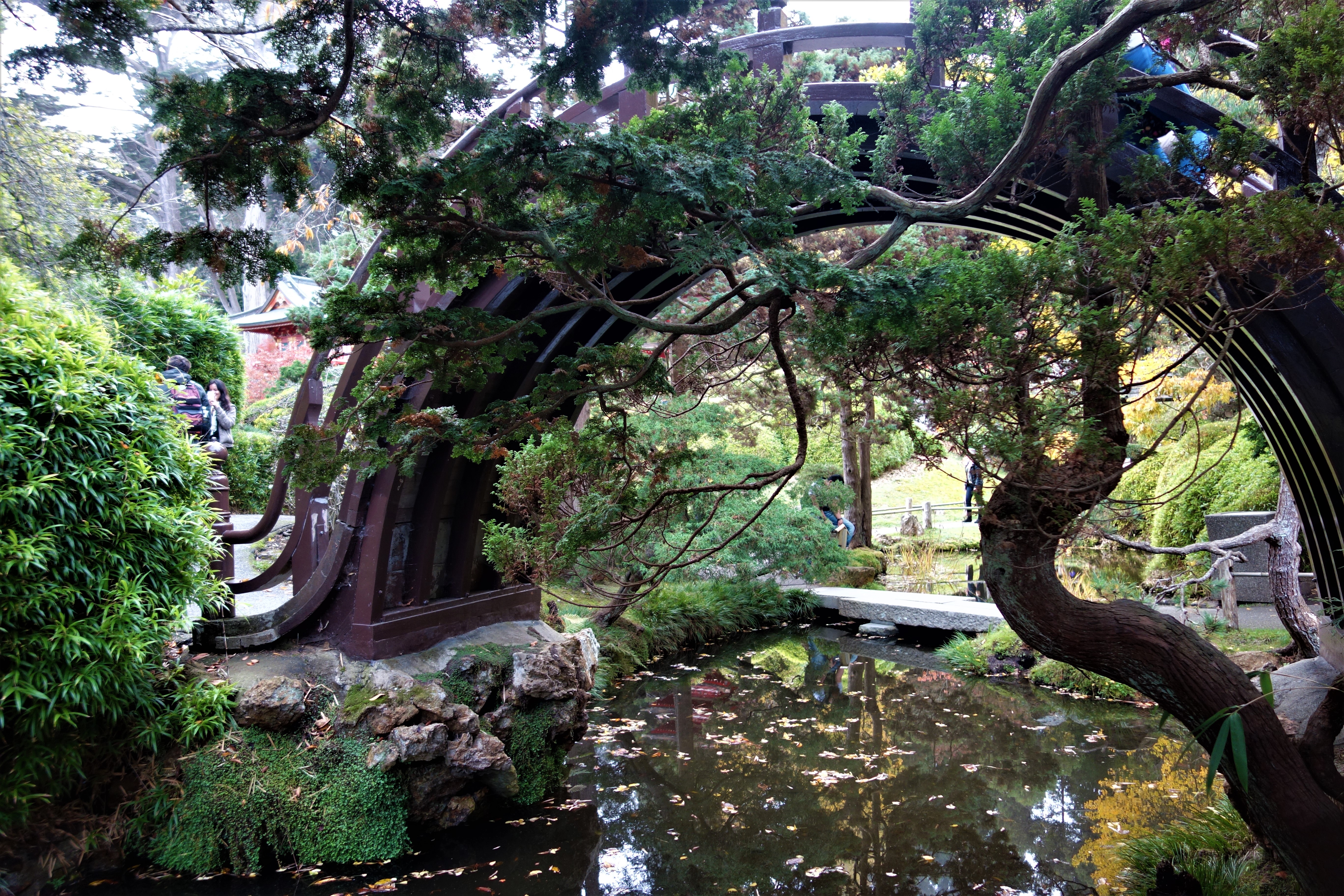 Japanese Garden, San Francisco