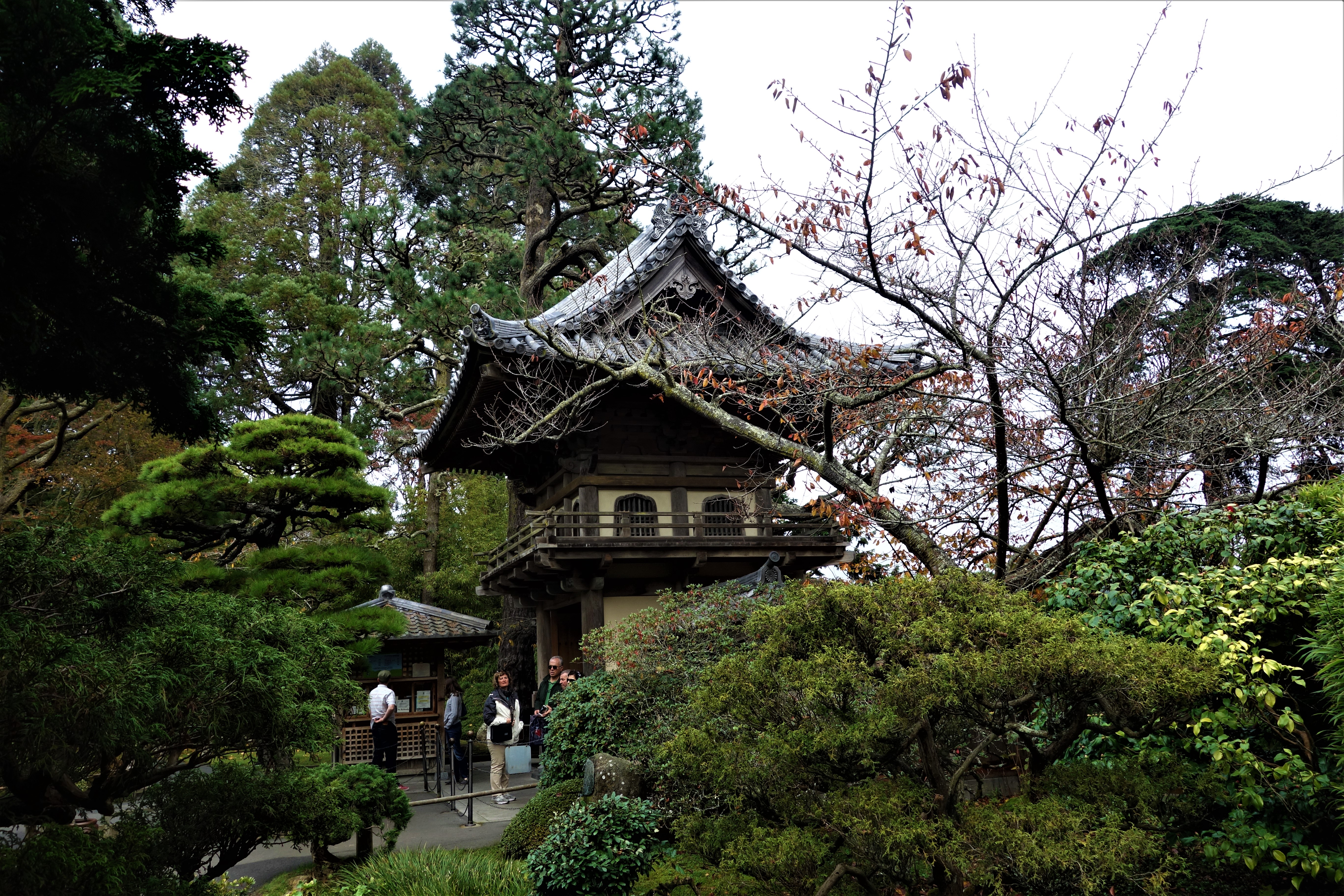 Japanese Garden, San Francisco