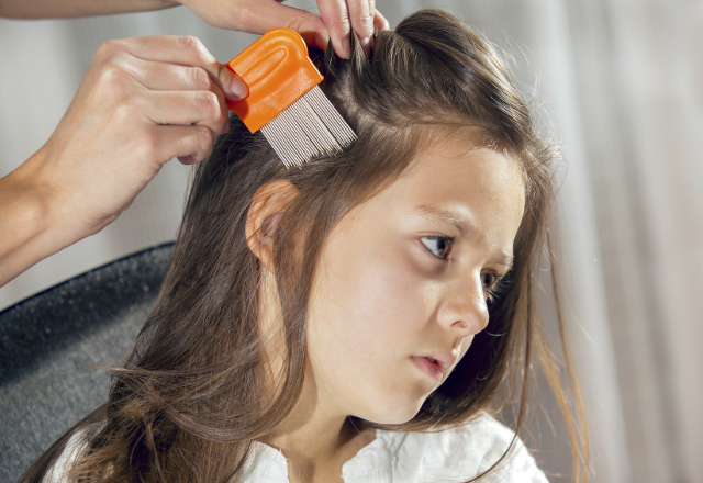 lice