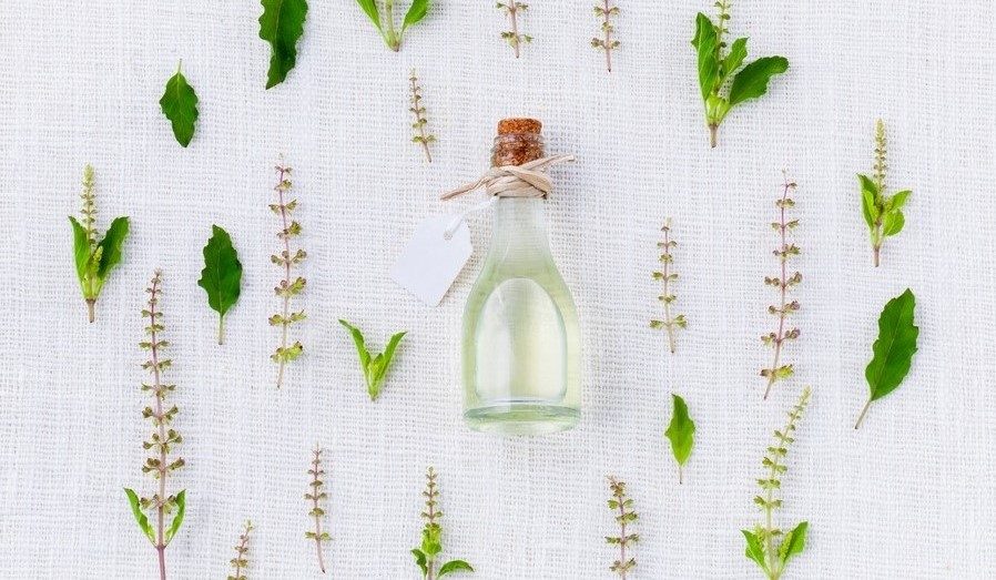 tea tree