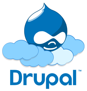 4 Most Important Reasons To Use Drupal VPS Hosting For Your Website