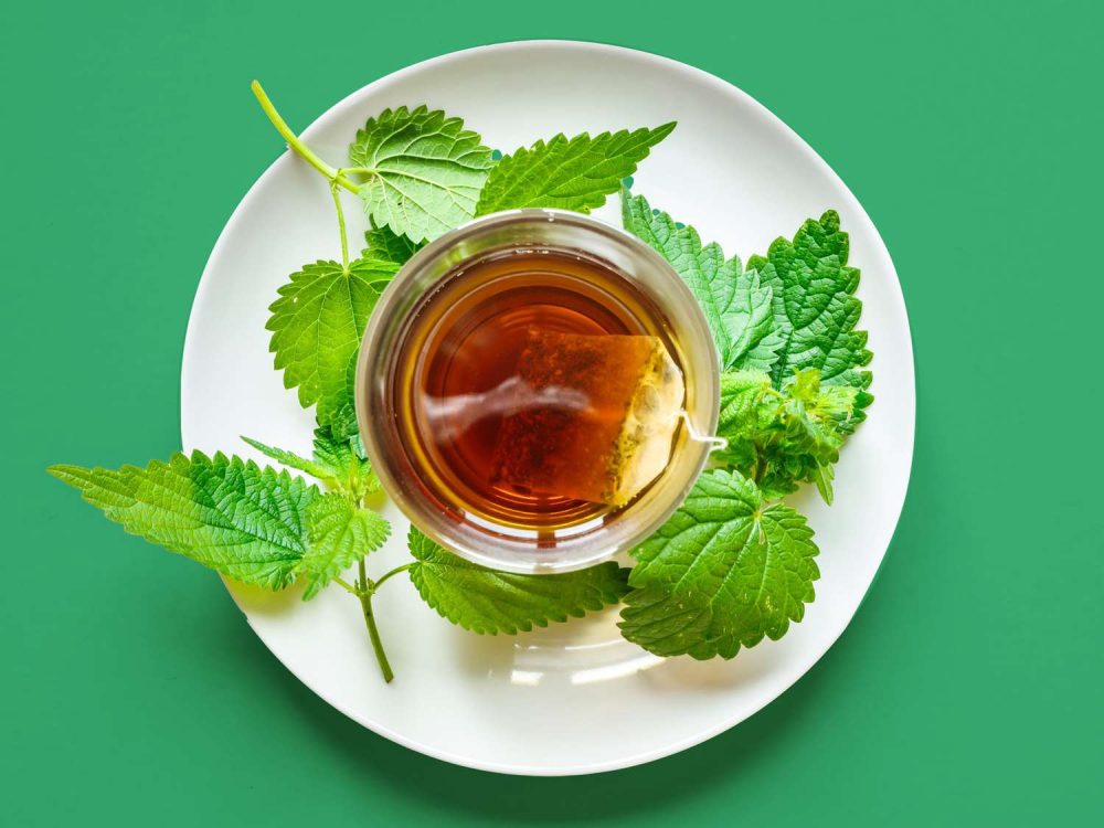 Benefits Of Using Nettle Tea Rinse For Hair