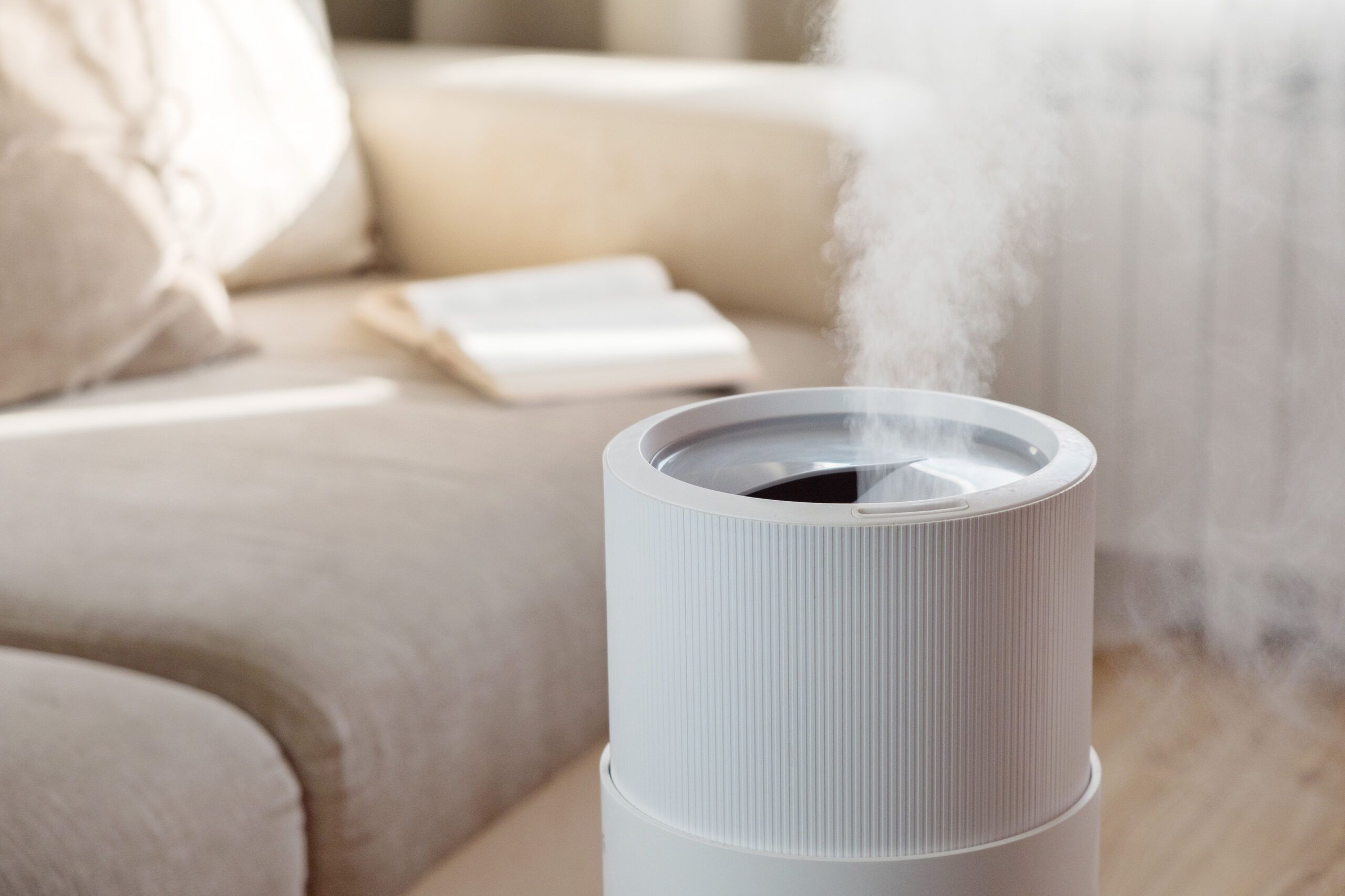 How to Deep Clean a Humidifier