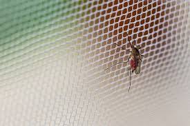 Common Mistakes People Make When Using Mosquito Nets