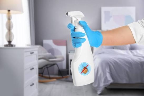 Daily Cleaning Habits That Help Prevent Household Insect Infestations
