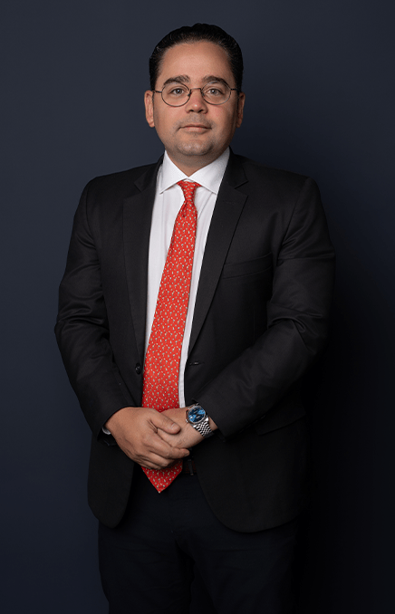 Ricardo José Perelló Bisonó