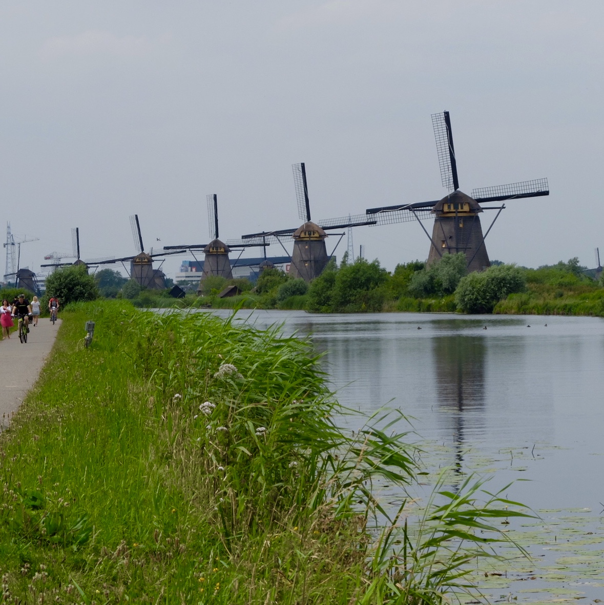 Amsterdam to Bruges 2015: This was one of our few rides with a group of other people. Our accommodation was a barge. Ruth loved it, it was flat and easy cycling
