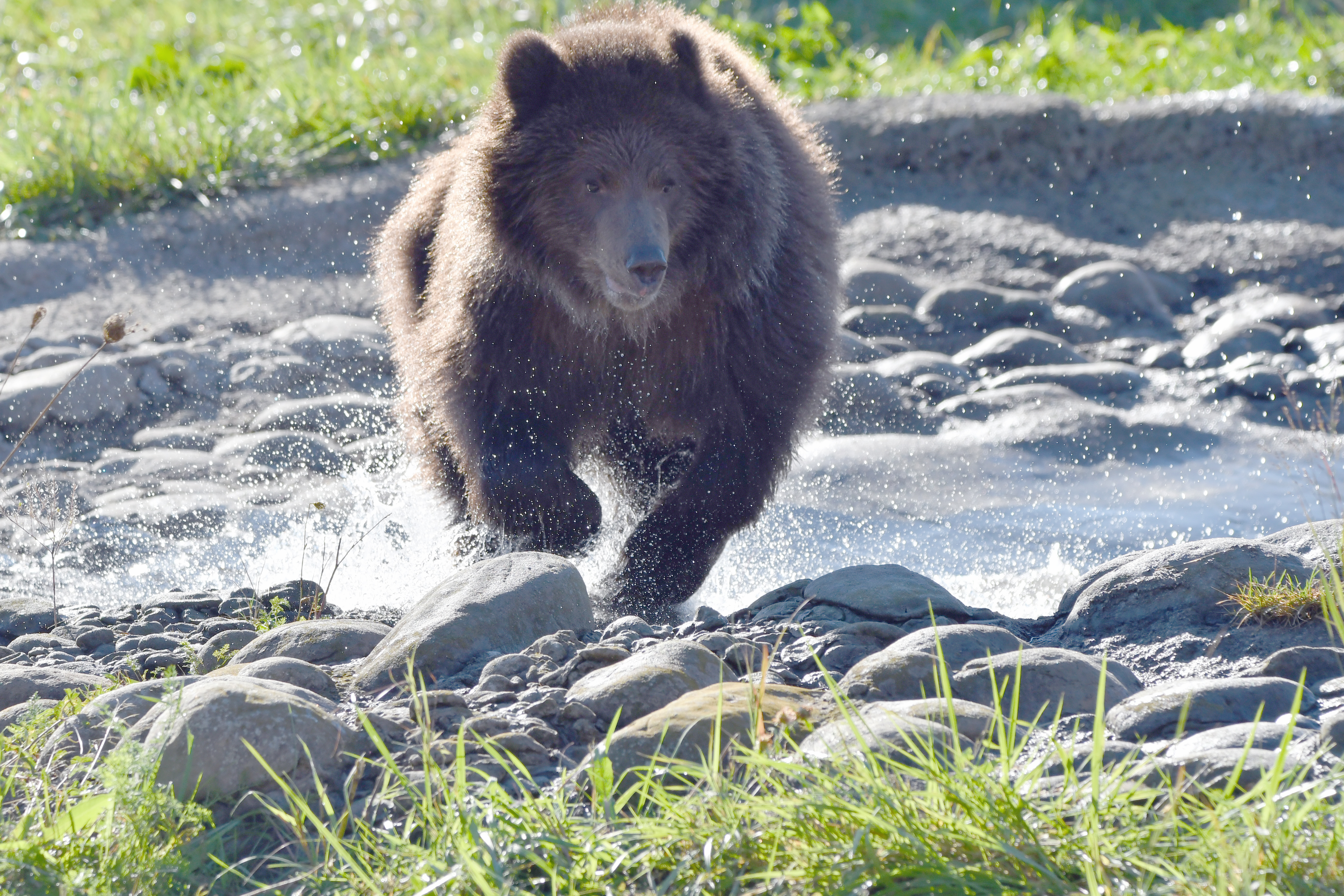 1.jpg?fit=1200,800&ssl=1