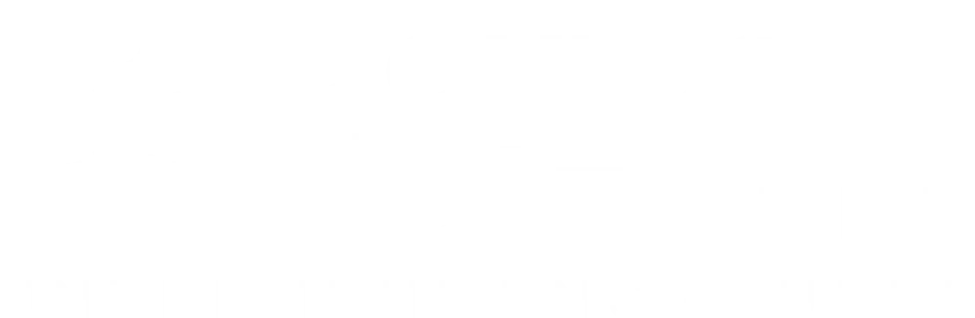 Logo Deutsche Netz Unternehmensgruppe