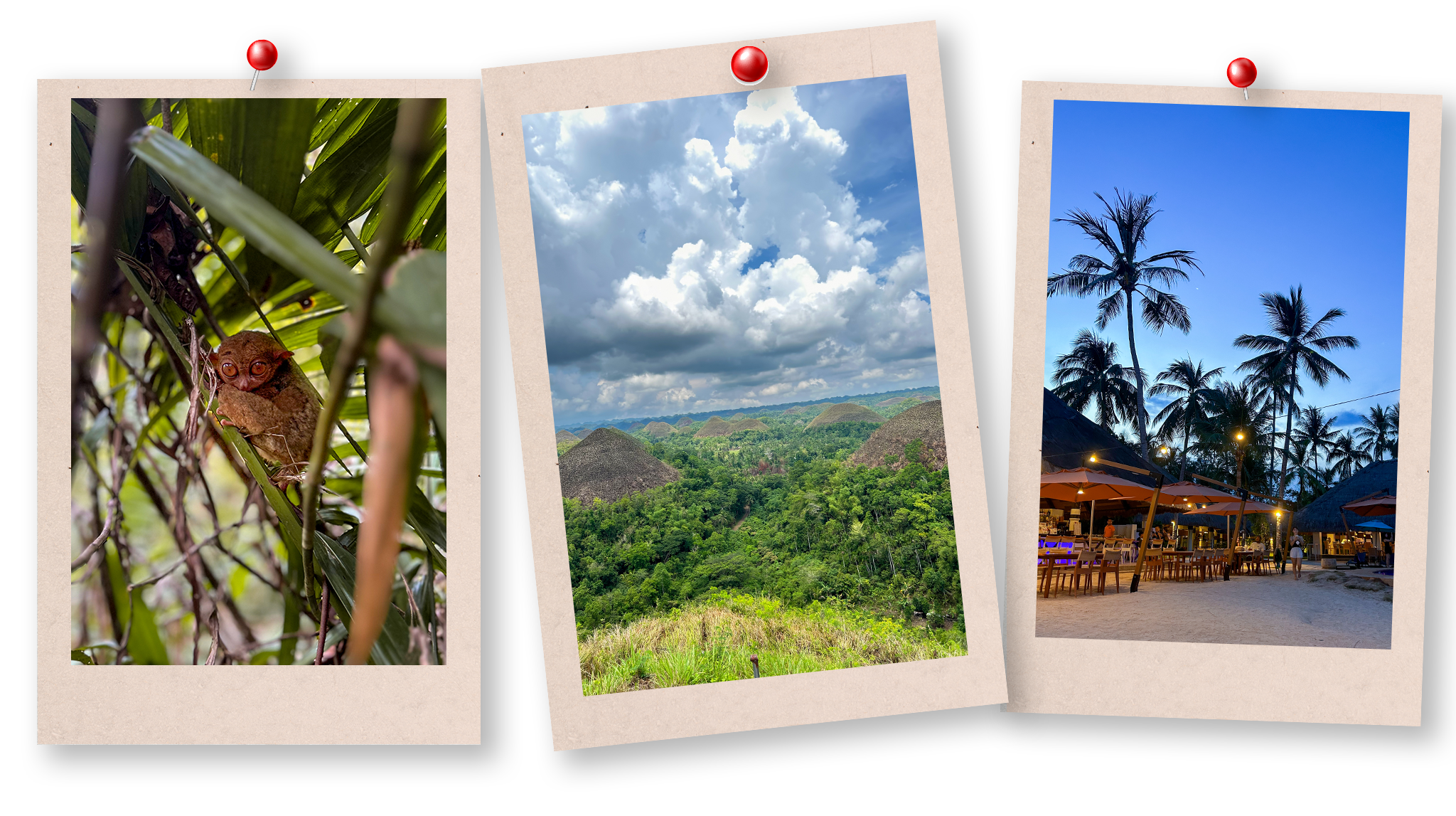 Que faire à Bohol