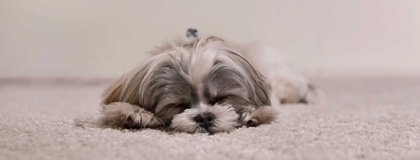 How long should a nap be