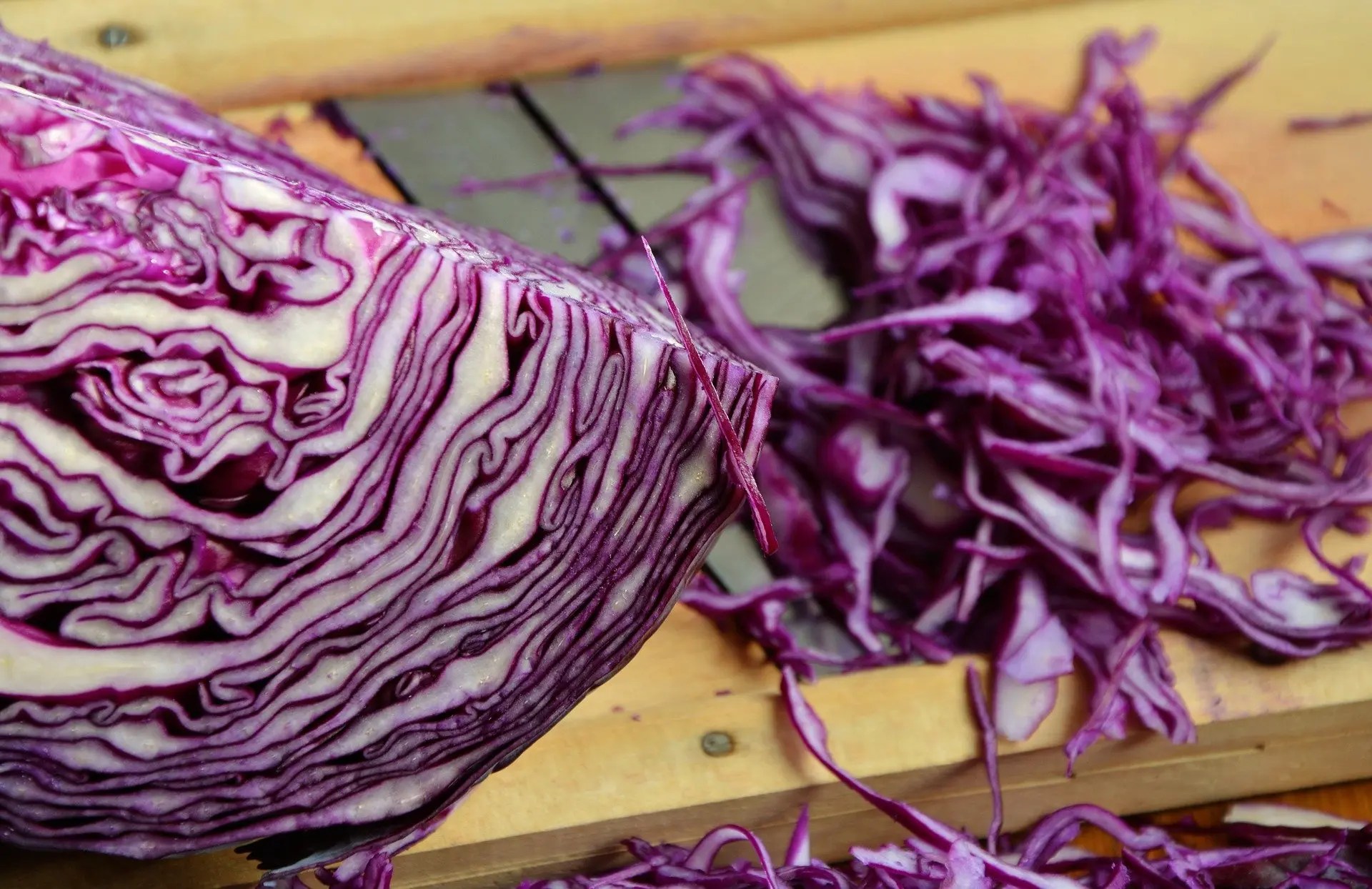 Cabbage for food or mind