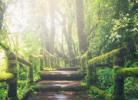 Multi Step Thumbnail