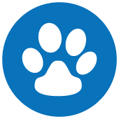 Pet Safe pet friendly carpet cleaning near me windsor essex upholstery cleaning, pet stain, pet urine removal carpet cleaning Windsor truck mounted carpet cleaning vehicle detailing windsor Whole house carpet cleaning Windsor, 3 rooms of carpet cleaning, windsor carpet cleaning specials, Windsor carpet cleaning, windsor pet urine removal, windsor dog pee removal, carpet cleaner, carpet cleaning near me, carpet cleaning windsor carpet stain removal