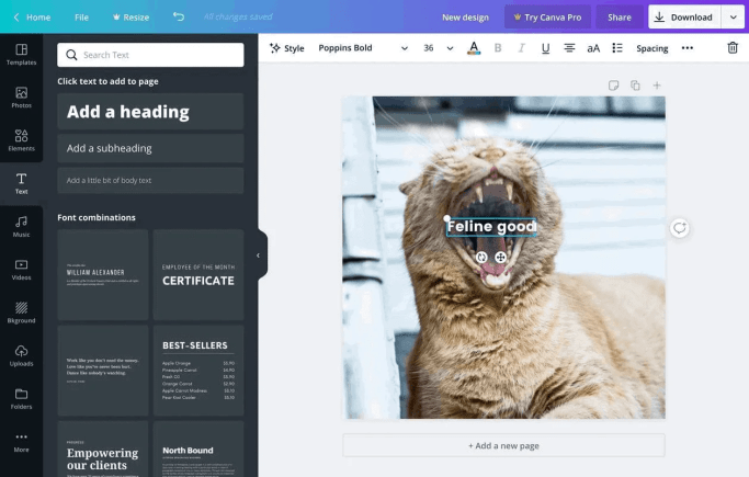 addding a text to Canva