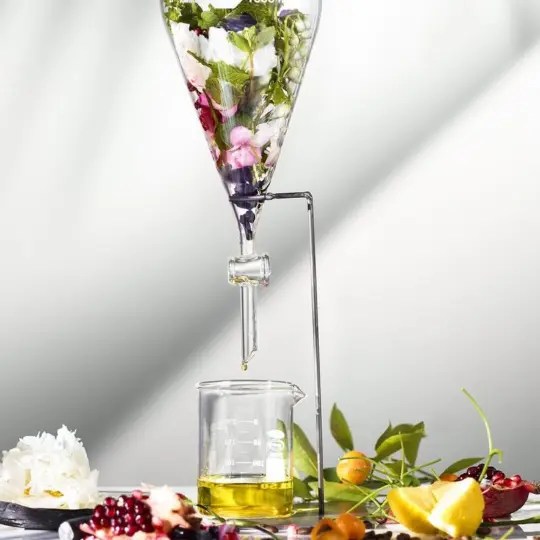 Image2.webp