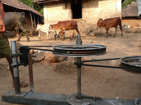 Cow Power in India