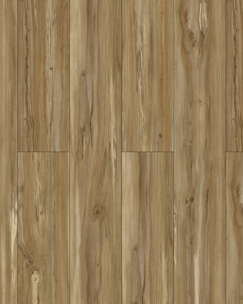 Azul Tortuga Biscayne