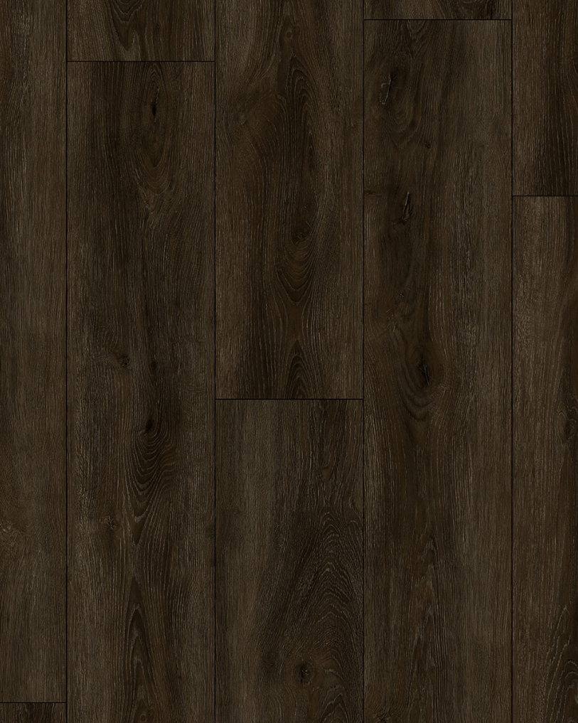 Azul Tortuga Brighton