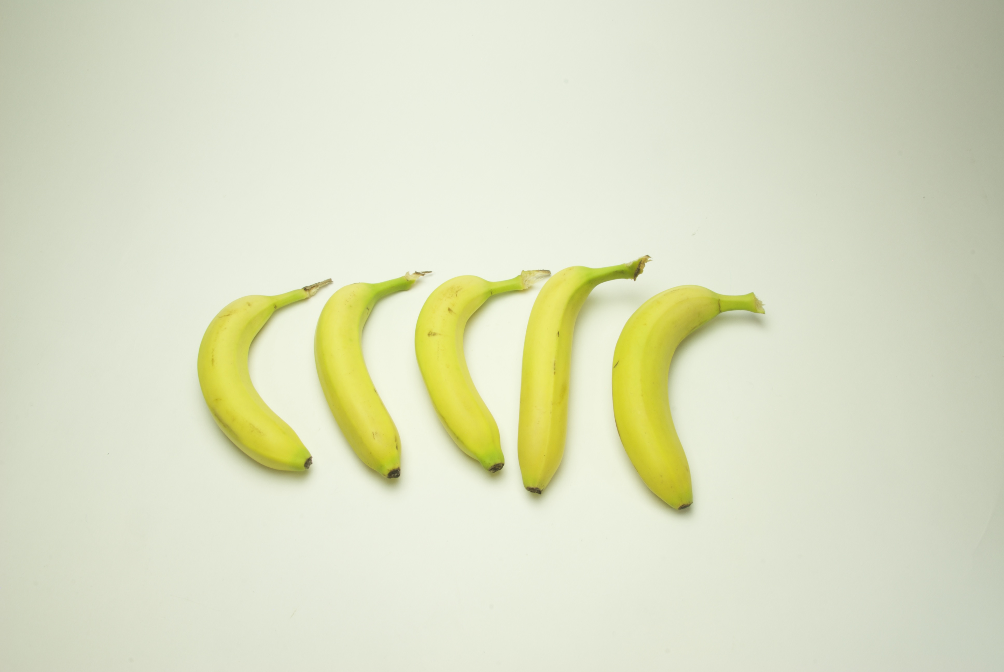 Project step photo 2