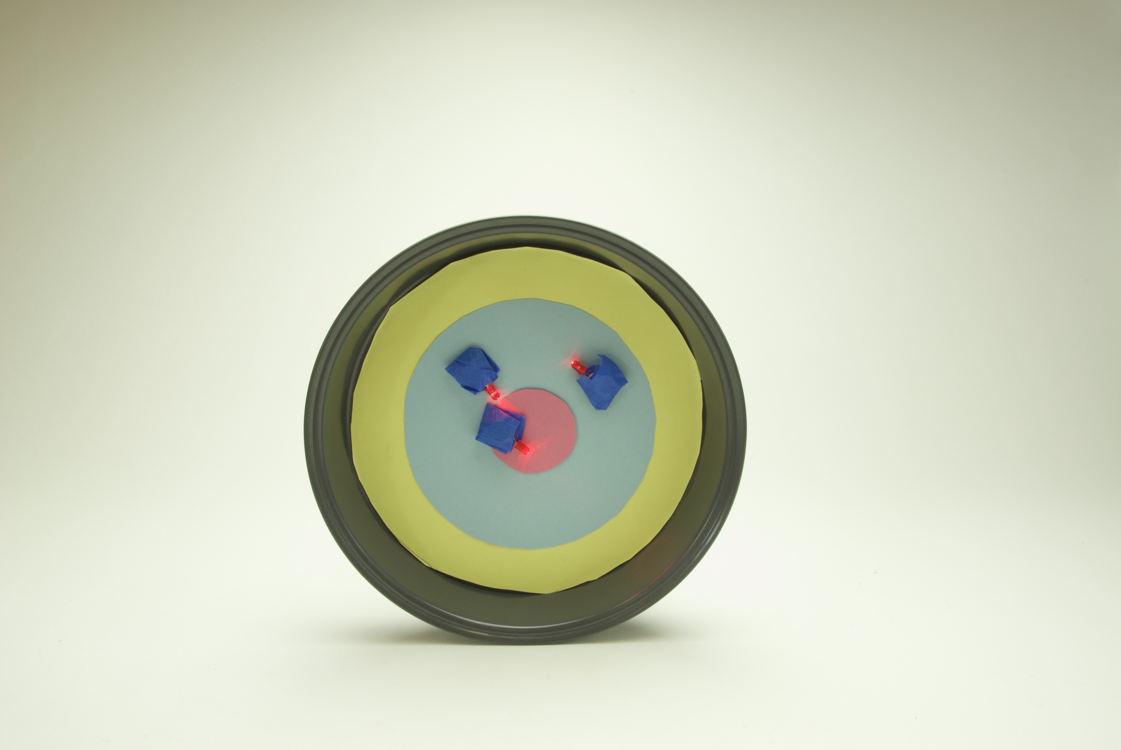 Project step photo 2