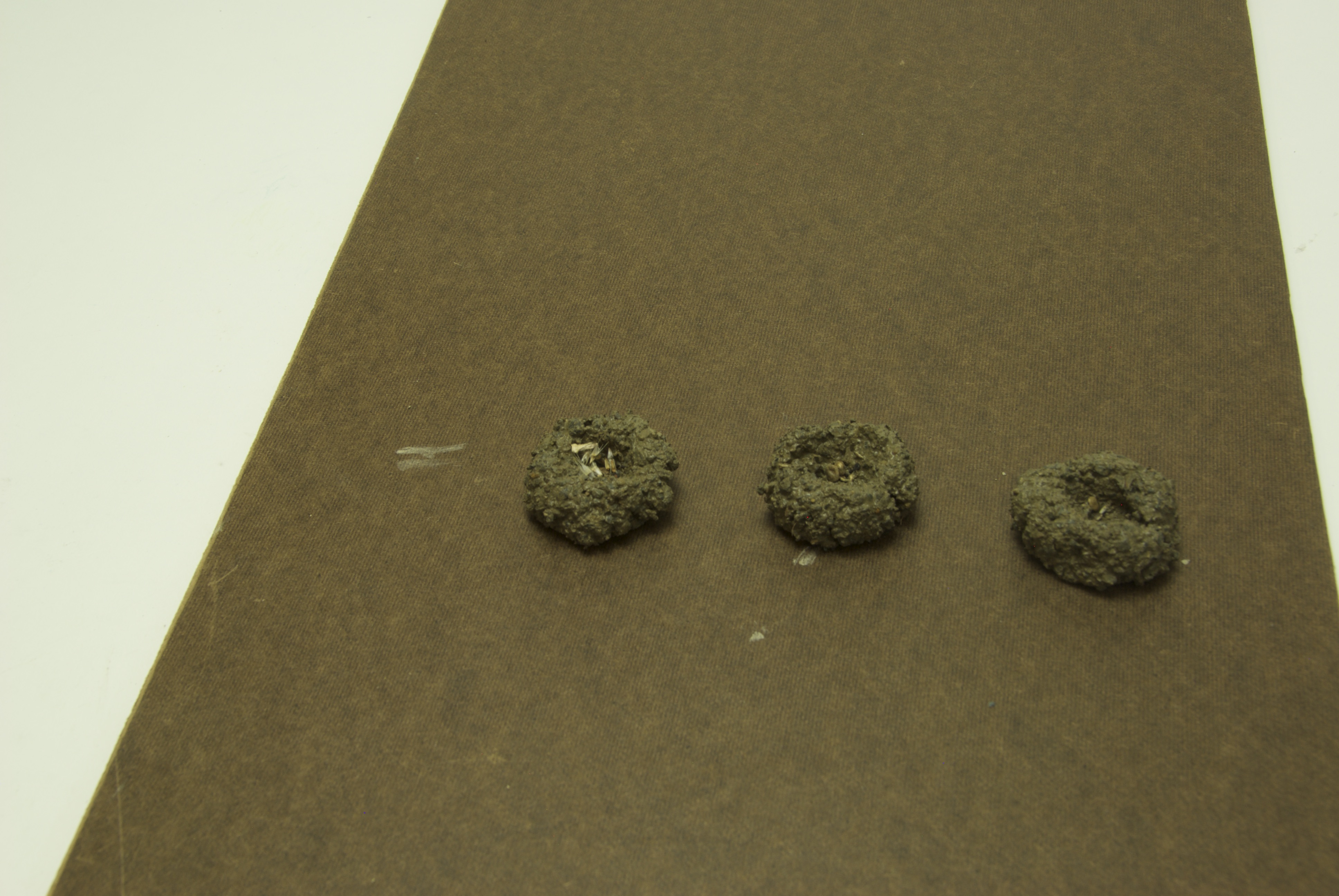 Project step photo 2