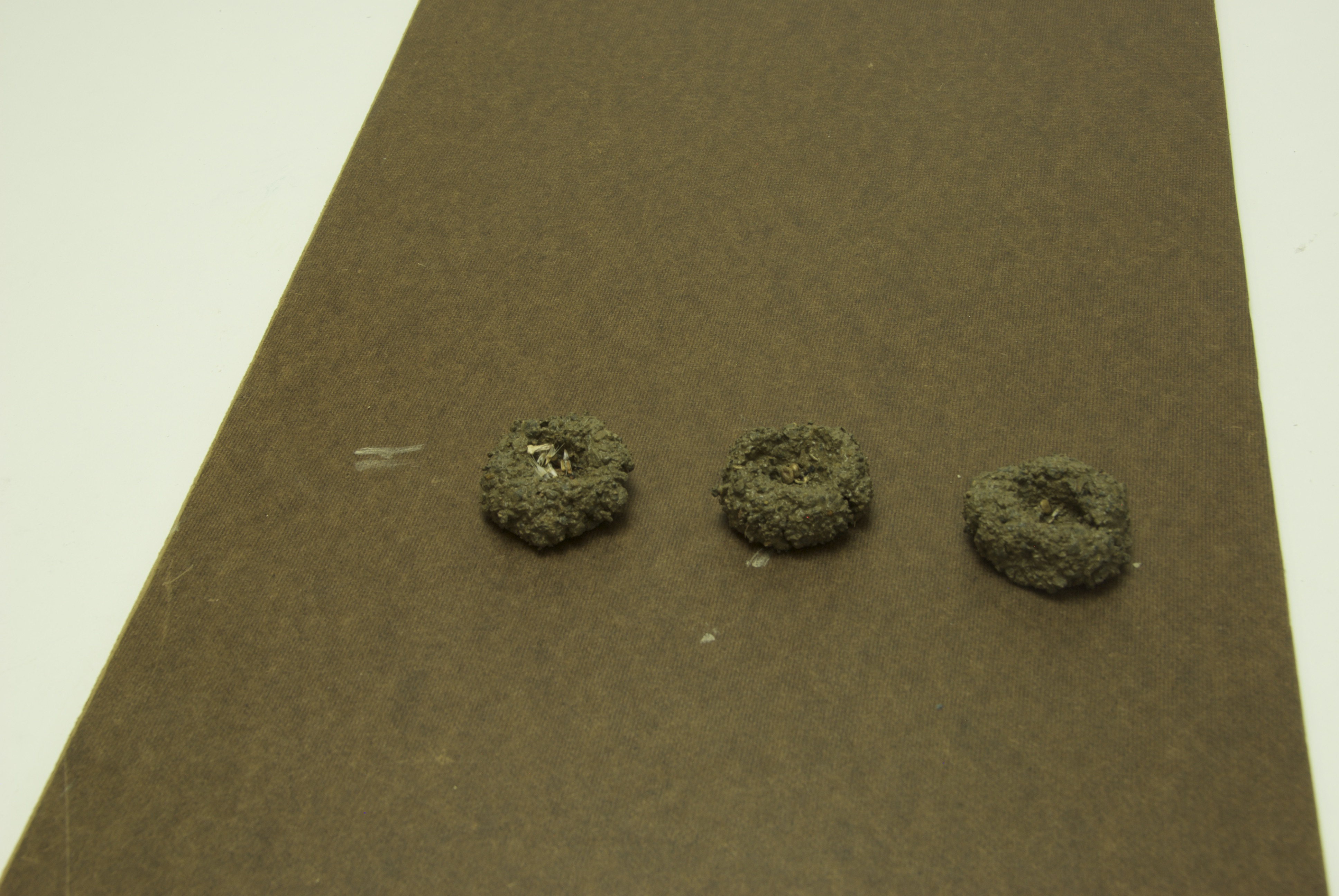 Project step photo 2