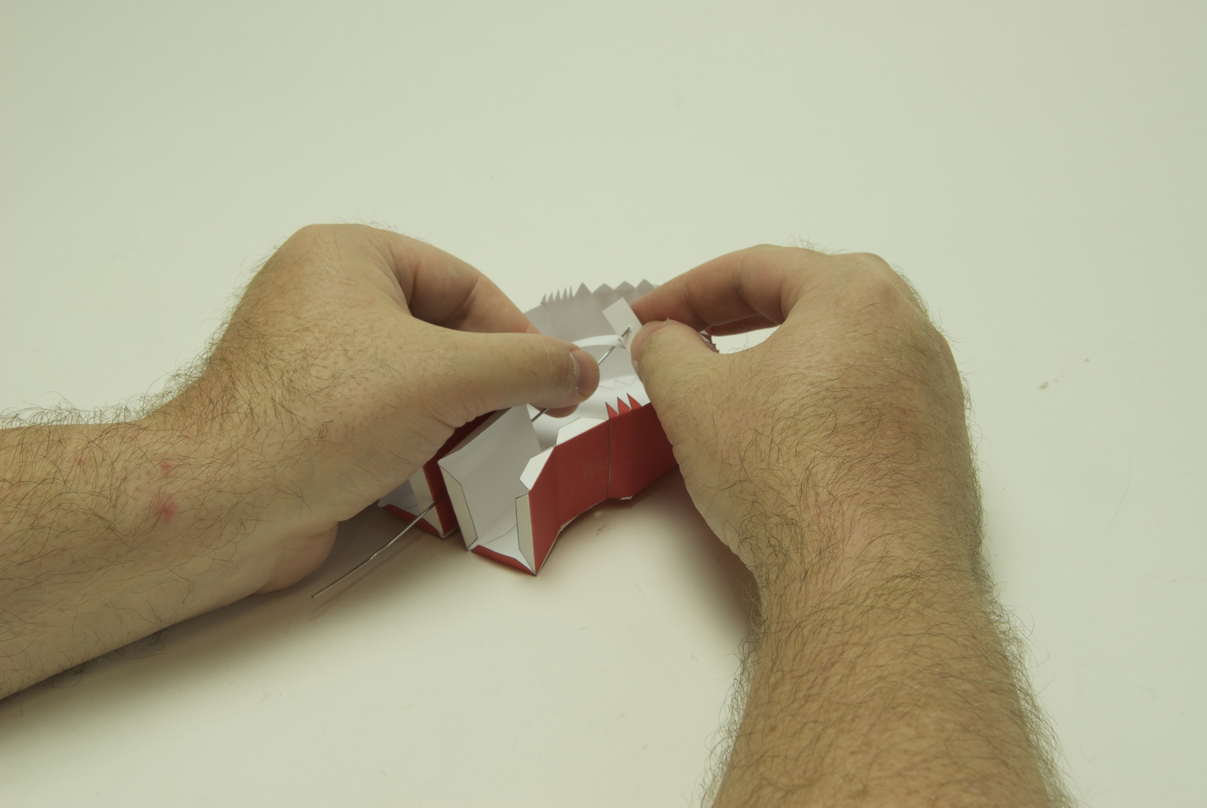 Project step photo 2