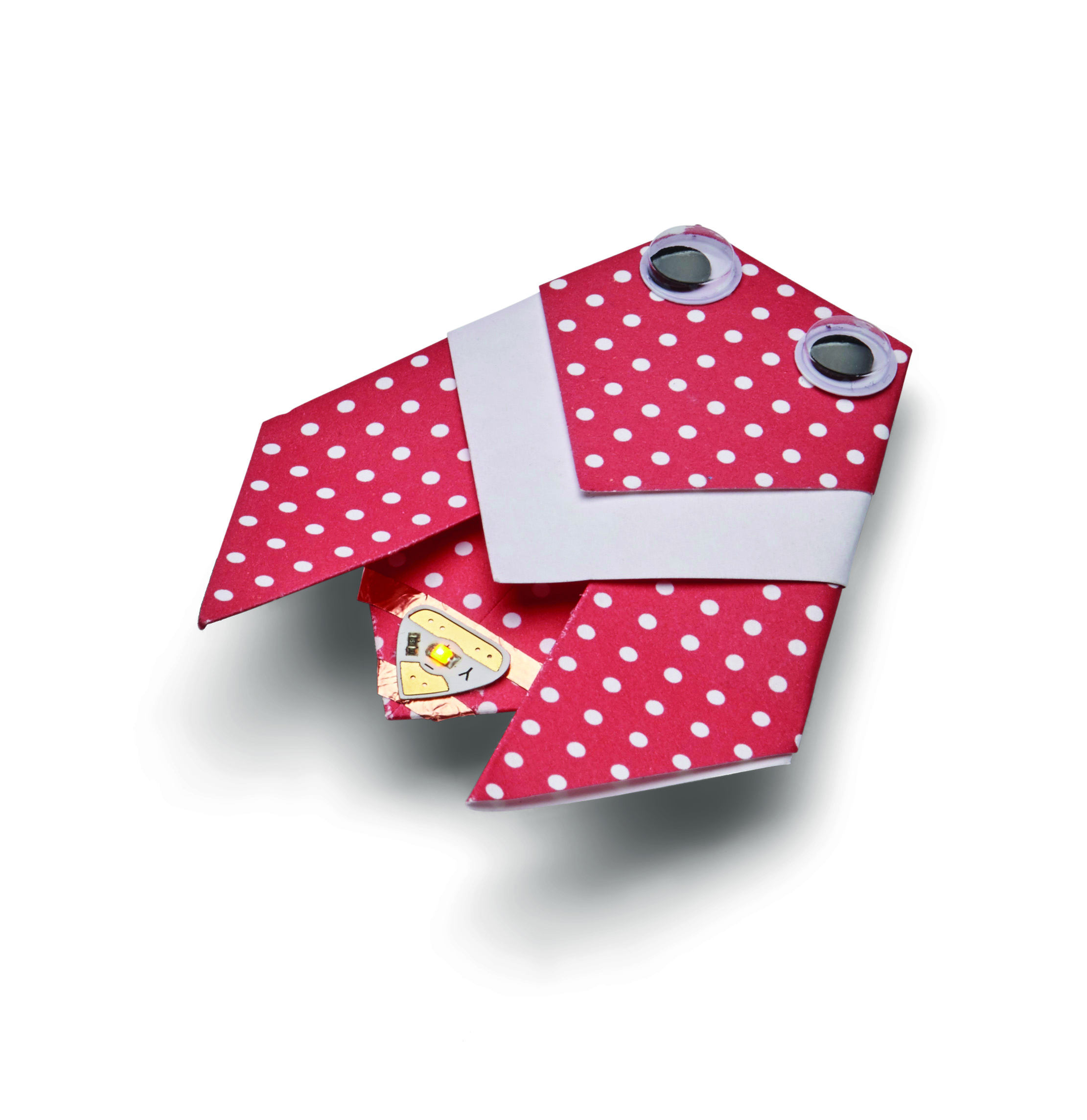 Project step photo 2