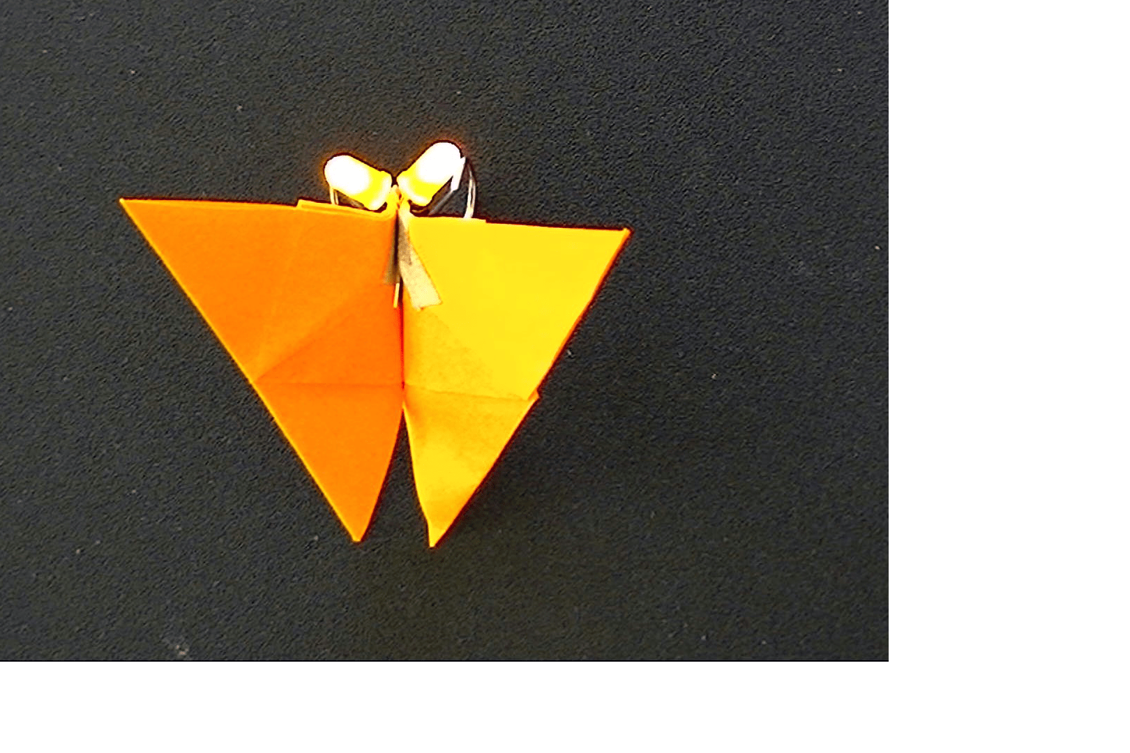 Project step photo 2