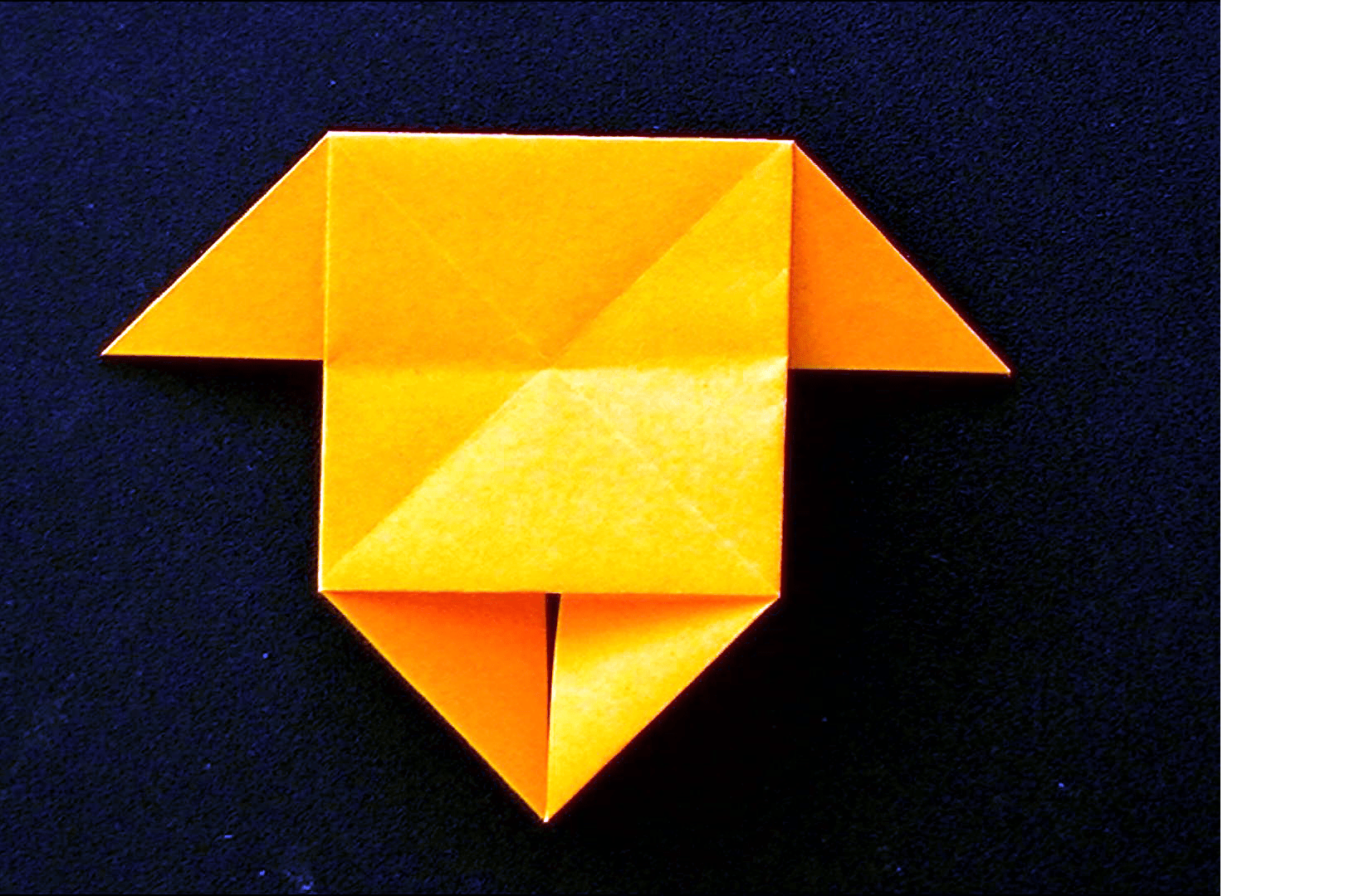 Project step photo 2