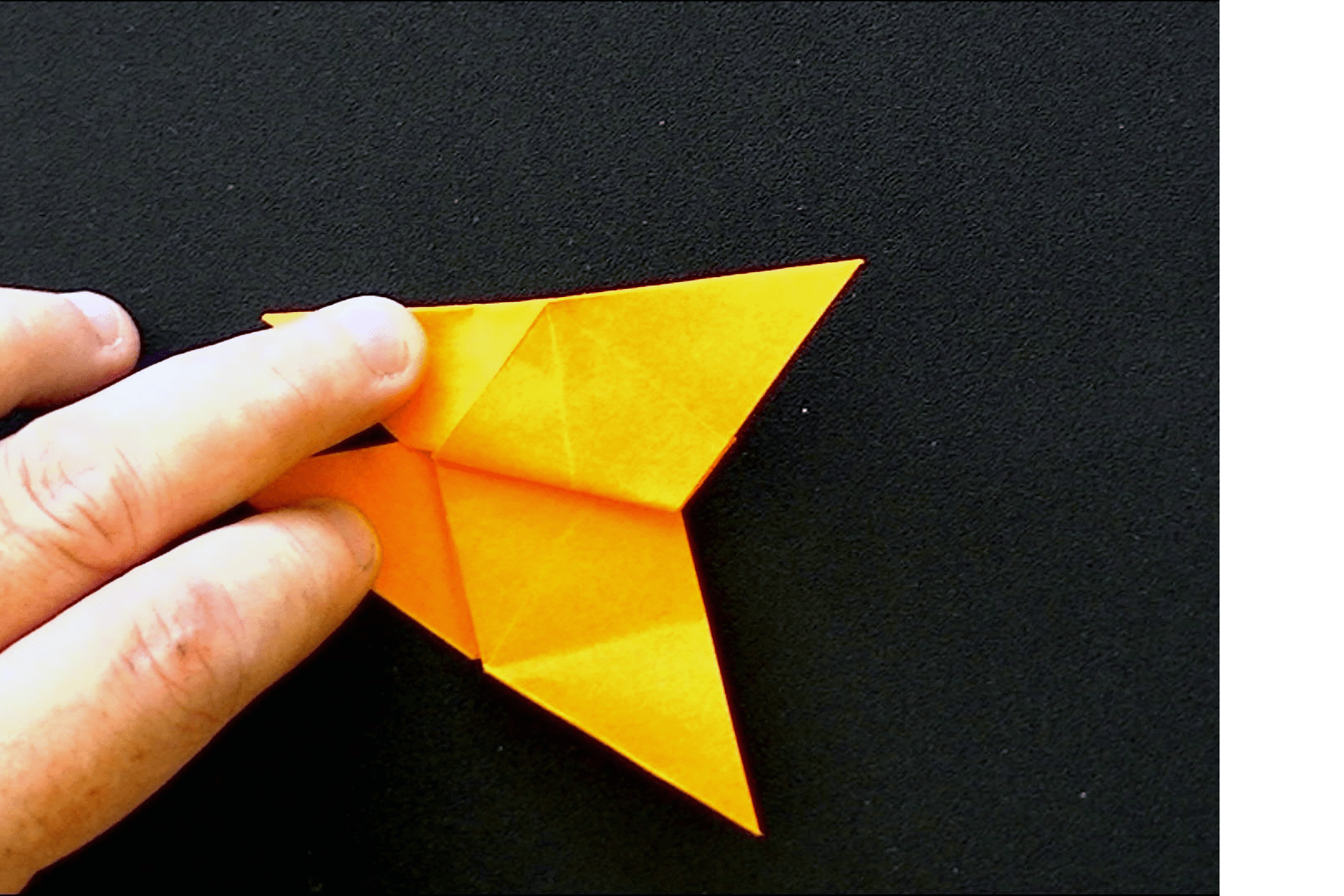 Project step photo 2