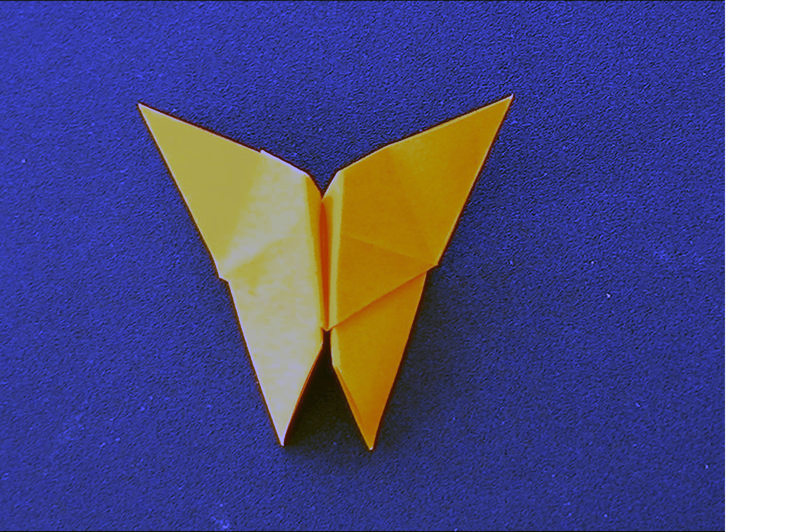 Project step photo 2