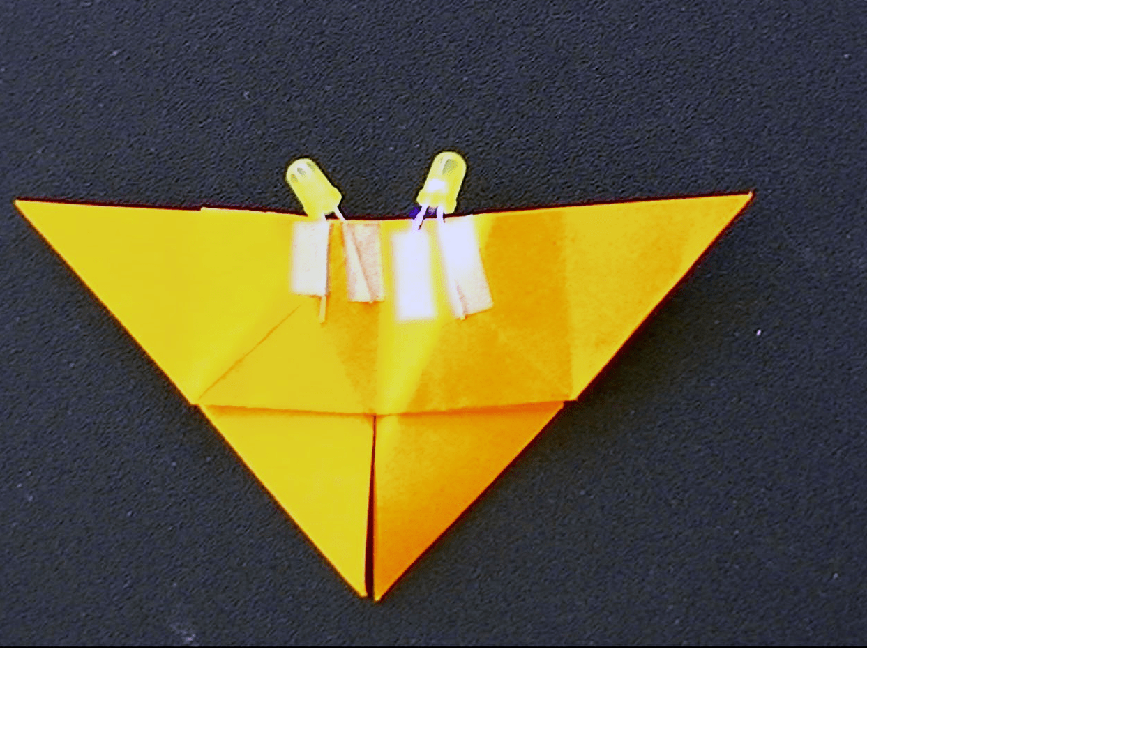 Project step photo 2