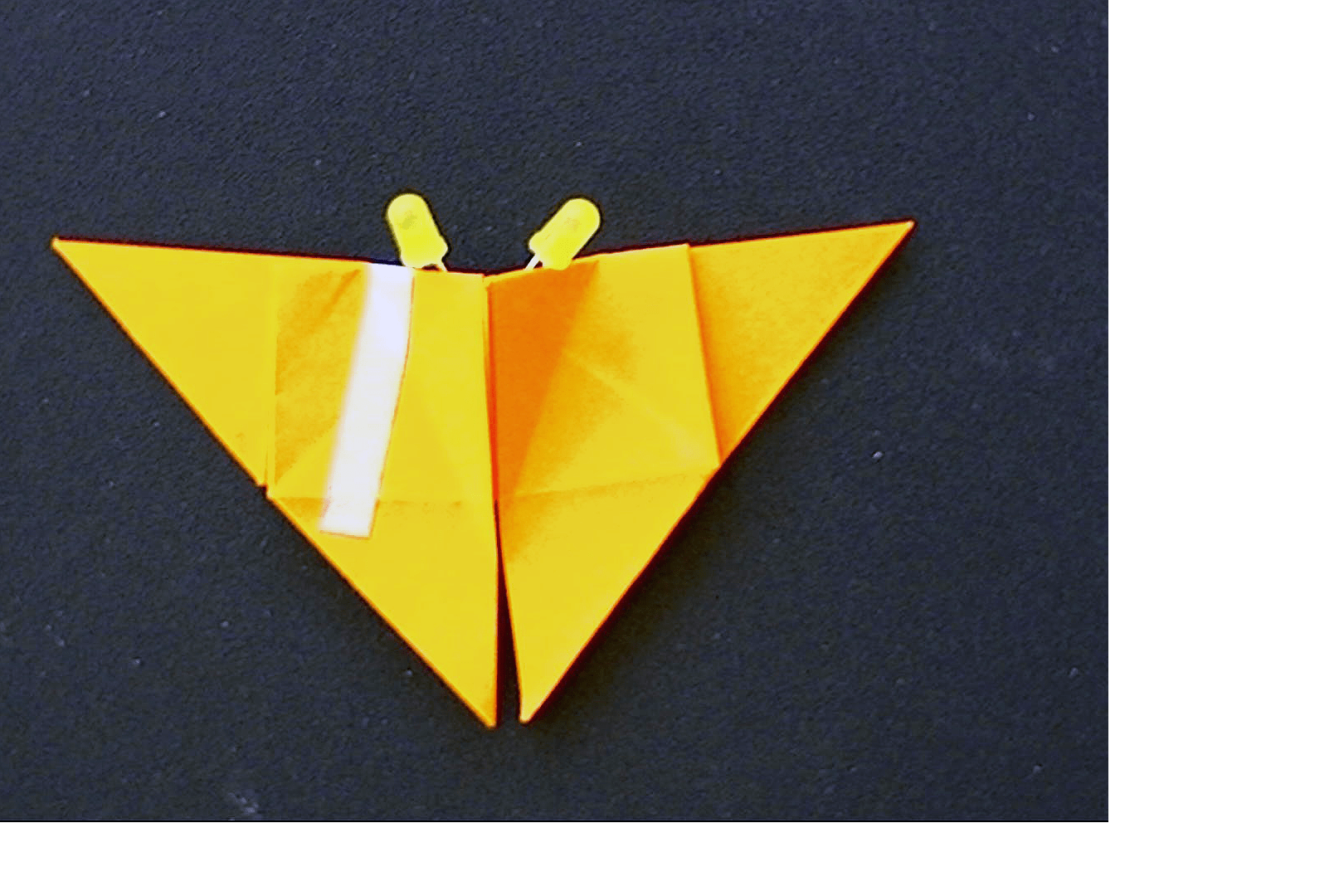 Project step photo 2