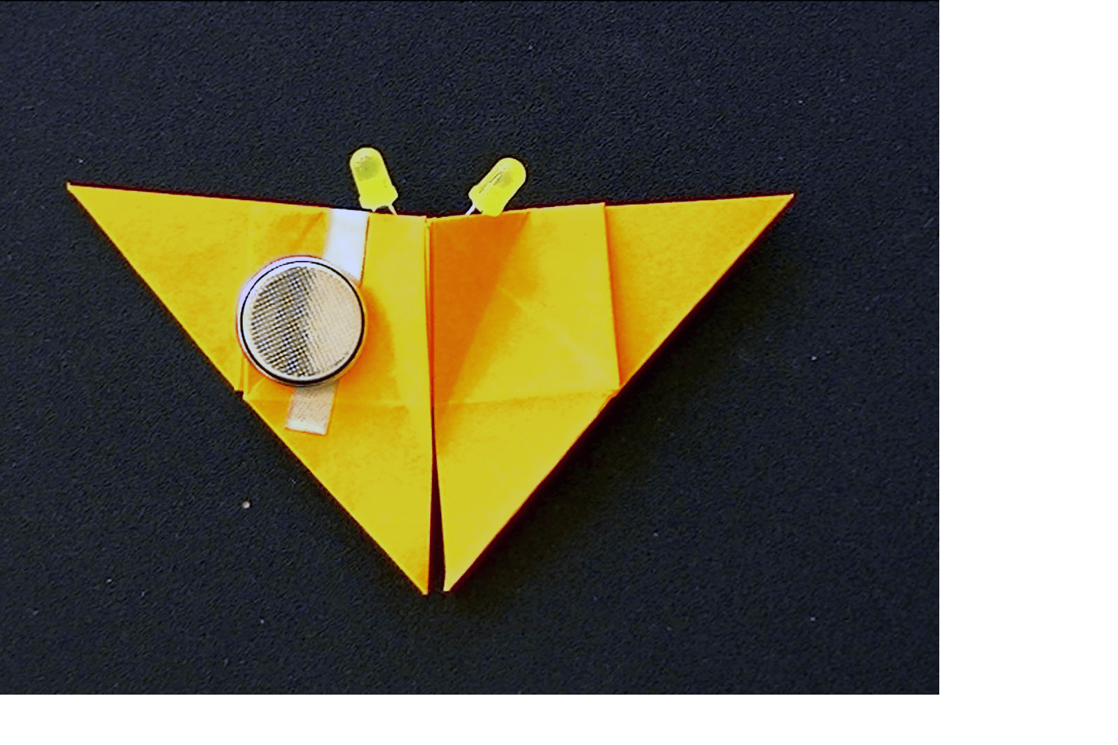 Project step photo 2