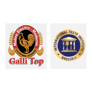 gallitop logo