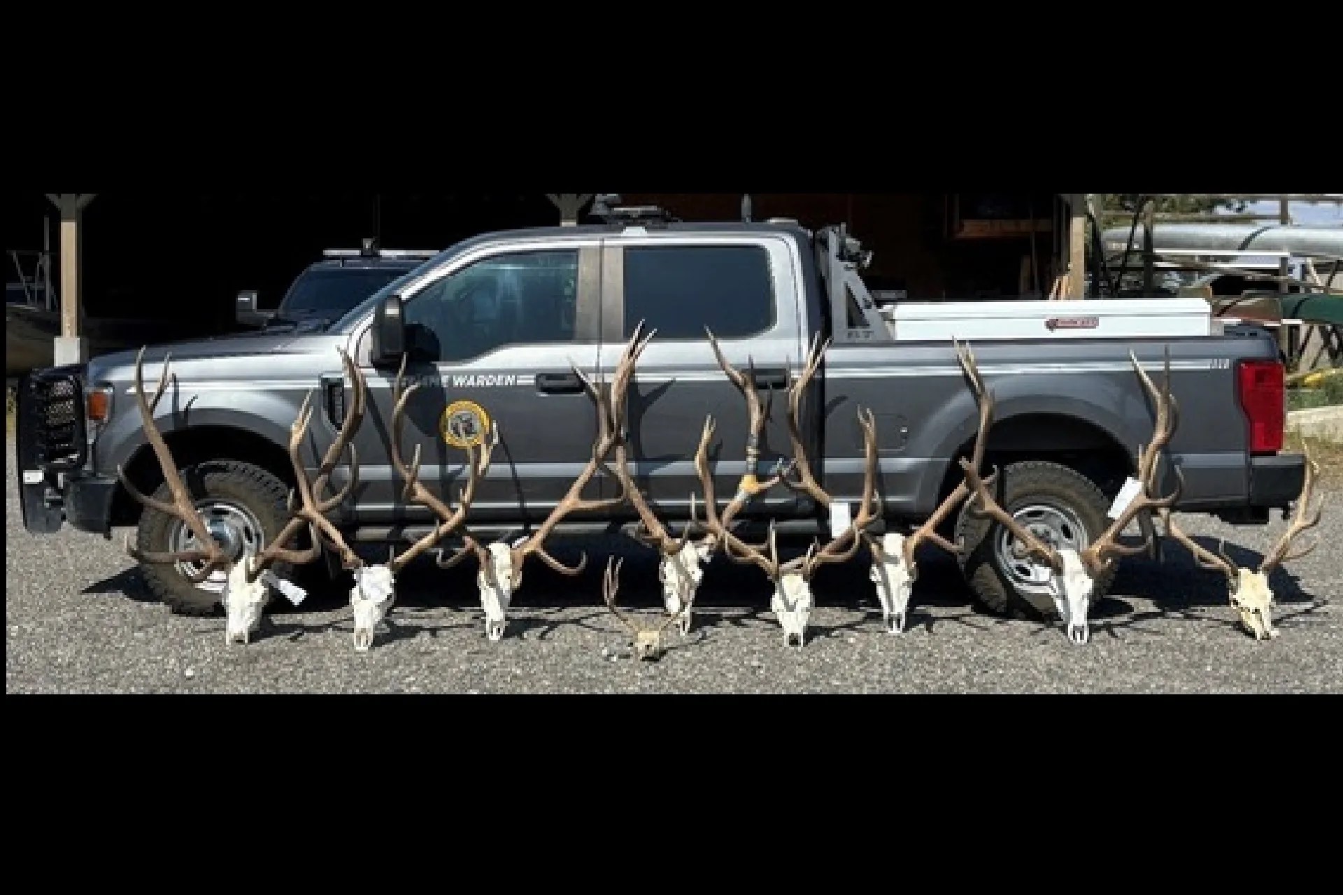 Three men charged in poaching case near Hardin  