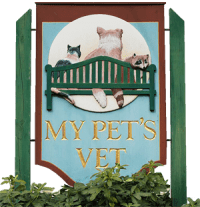 our staff my pets vet on my pets vet huntington