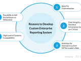 Enterprise Reporting System Overview Dev Pro
