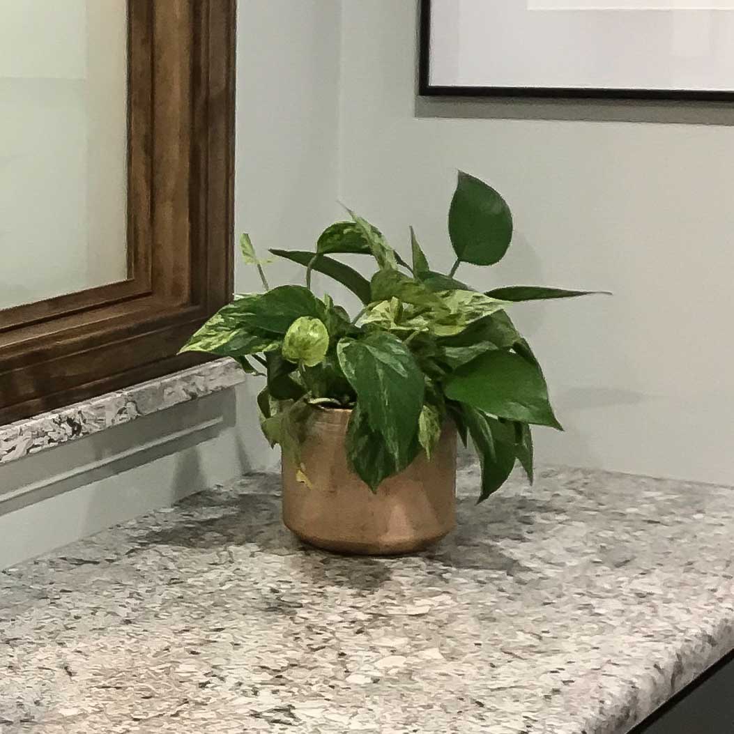 Office Design