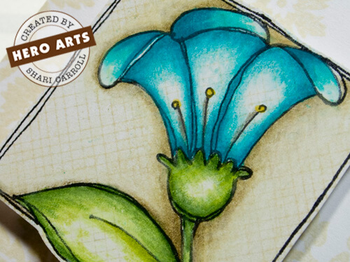 (Video) Working with Colored Pencils