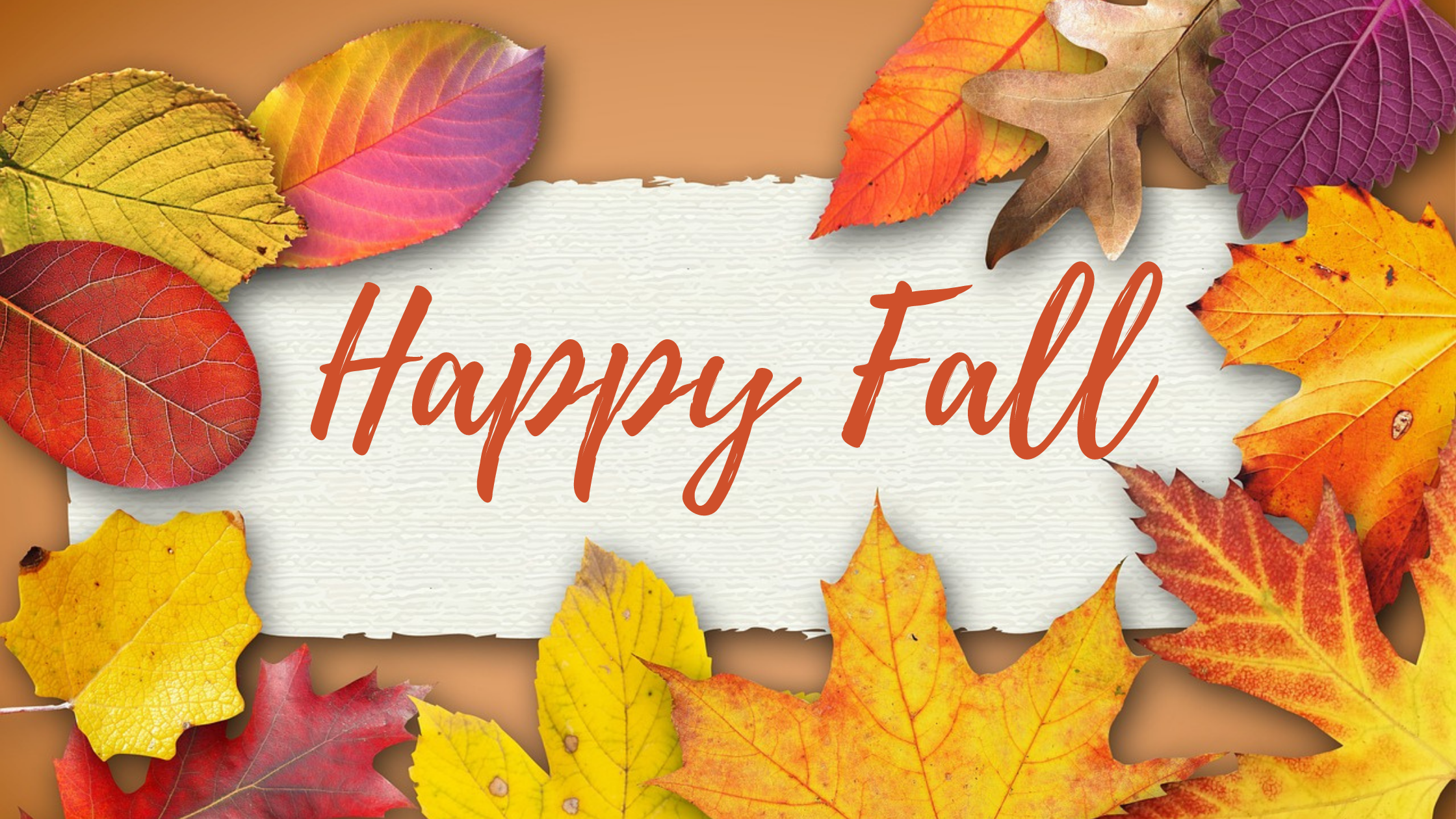 Adorable Fall Cards to make this weekend!