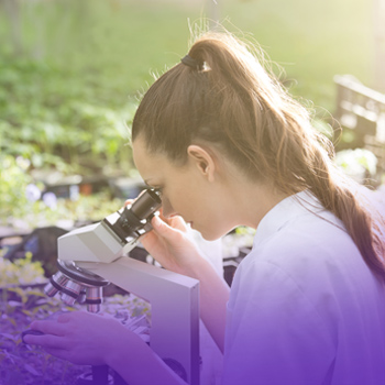 https://i0.wp.com/dev.studyabroadconsultants.org/wp-content/uploads/2021/02/environmental-science.jpg?fit=350%2C350&ssl=1