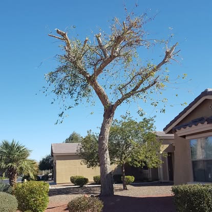 Quaity Work - Construction and hardscape services in Arizona