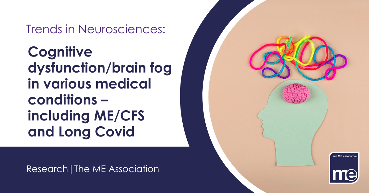 IMAGE DESCRIPTION: An image of a head with string above representing brain fog. The ME Association Logo (bottom)