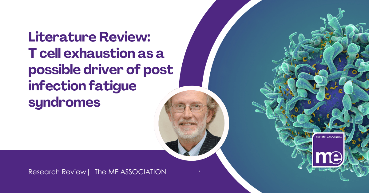 IMAGE DESCRIPTION: An image of a T cell. Title: Literature Review: T cell exhaustion as a possible driver of post infection fatigue syndromes. The ME Association Logo (bottom right).