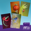IMAGE DESCRIPTION: A light blue background with four images of the available for the Animal Magic Notelets (2 of each design) Images of animals on plants, ladybird, butterfly, frog and small lizard. The ME Association logo (bottom right)