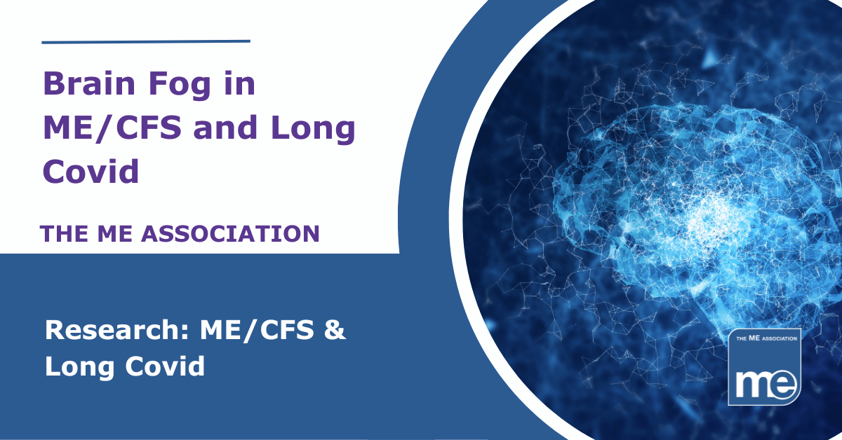 IMAGE DESCRIPTION: An image of a brain behind fog to represent cognitive dysfunction. The title reads: Brain Fog in ME/CFS and Long Covid. The ME ASSOCIATION. A blue banner has the wording Research: ME/CFS & Long Covid. The ME Association logo (bottom right)